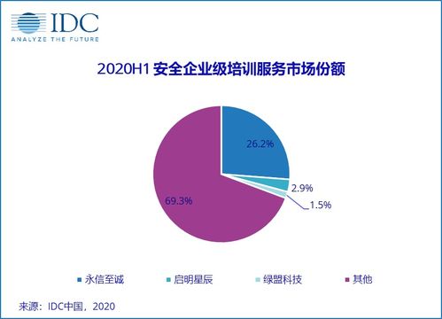 2020上半年中國IT安全服務市場穩健增長，市場規模達40.23億元